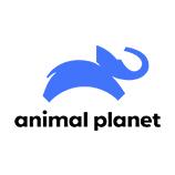 Animal Planet